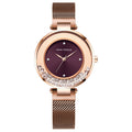 Mini foco relógios femininos mostrador criativo relógio de luxo mulher quartzo à prova dwaterproof água relógio de pulso feminino moda senhoras