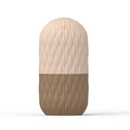 Rolo de gelo para o rosto, molde de silicone reutilizável